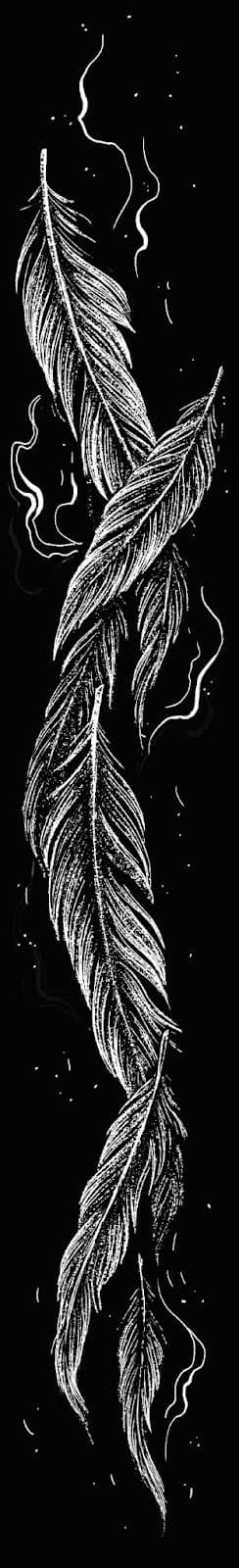 feathers